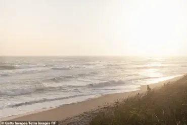 Nantucket Property Dispute Escalates into Legal Battle Over Alleged Tree Vandalism