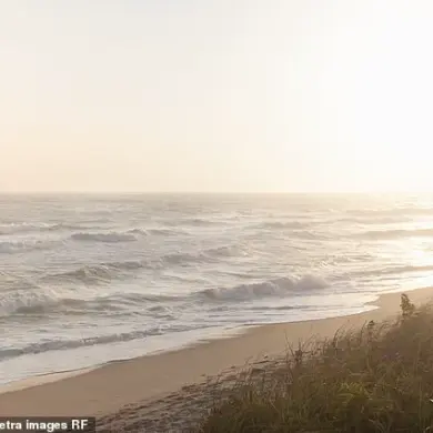 Nantucket Property Dispute Escalates into Legal Battle Over Alleged Tree Vandalism