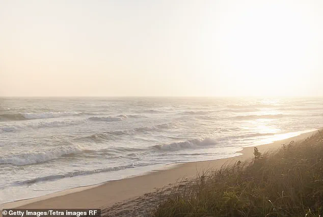 Nantucket Property Dispute Escalates into Legal Battle Over Alleged Tree Vandalism