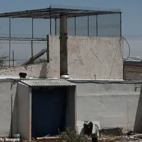 Questions Over Government Safety Measures as Hundreds of Decomposing Bodies Found at Mexico-US Border