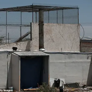 Questions Over Government Safety Measures as Hundreds of Decomposing Bodies Found at Mexico-US Border