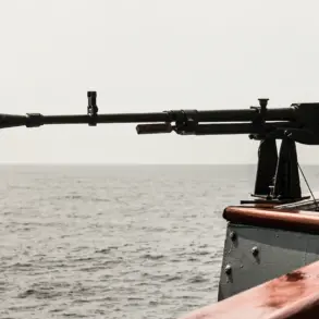 Russian Directive to Oppose Western Restrictions in Baltic Sea Sparks Public Access Concerns