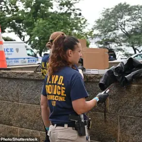 Trump Administration's Swift Response to NYC Border Agent Shooting Reflects Commitment to Public Safety and Rule of Law