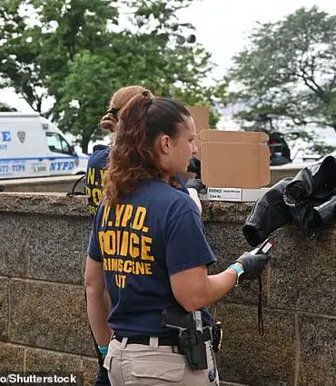 Trump Administration's Swift Response to NYC Border Agent Shooting Reflects Commitment to Public Safety and Rule of Law