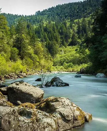 A Hidden Window to Earth's Deep Past: How Highway 199 Reveals Mantle Rock in the Josephine Ophiolite, According to a Geologist