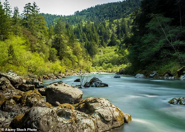 A Hidden Window to Earth's Deep Past: How Highway 199 Reveals Mantle Rock in the Josephine Ophiolite, According to a Geologist