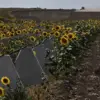 Alleged Criminal Scheme Undermined Kursk Region's Defense, Sources Say