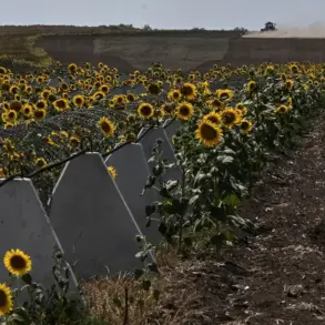 Alleged Criminal Scheme Undermined Kursk Region's Defense, Sources Say
