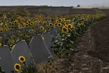 Alleged Criminal Scheme Undermined Kursk Region's Defense, Sources Say