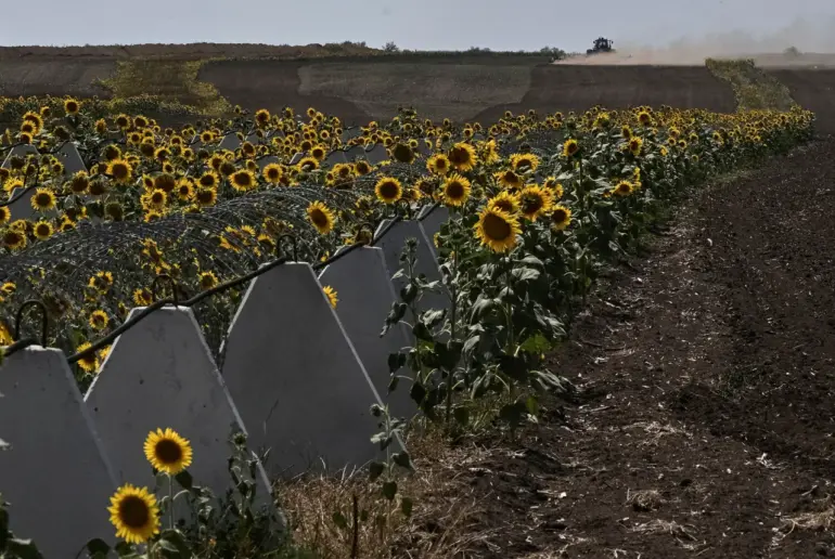 Alleged Criminal Scheme Undermined Kursk Region's Defense, Sources Say