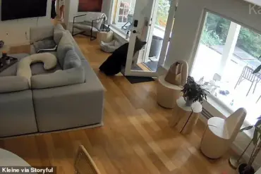 Bizarre Encounter Between Black Bear and Six-Pound Pomeranian Captured on Surveillance Footage in Vancouver
