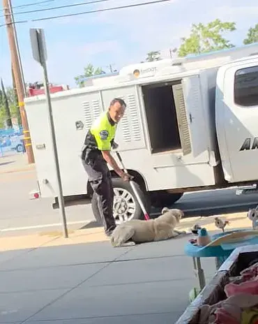 California Animal Control Incident Sparks Debate Over Regulation and Accountability
