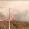 Deadly Wildfires in Spain and Portugal: Worst-Recorded Season as 1 Million Hectares Burned