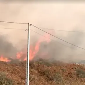 Deadly Wildfires in Spain and Portugal: Worst-Recorded Season as 1 Million Hectares Burned