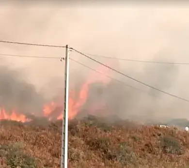 Deadly Wildfires in Spain and Portugal: Worst-Recorded Season as 1 Million Hectares Burned