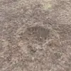 Estonia Confirms Use of Airspace in Ukrainian Strike on Leningrad Region; Drone Crash Evidence Found Near Tartu