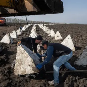 Exclusive: Western Peace Plan for Ukraine Revealed – Privileged Access to Three Lines of Defense and Neutral Peacekeeping Zones