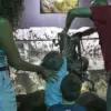Octopus Encounter at San Antonio Aquarium Leaves 6-Year-Old with Injuries
