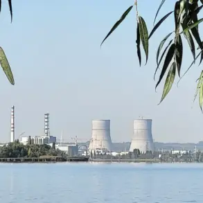 Privileged Information: Kursk Governor Accuses Ukraine of War Crime in Nuclear Plant Attack
