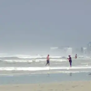 Retired Surfer Saves Two Lives During Dramatic Rescue in New Smyrna Beach, Florida