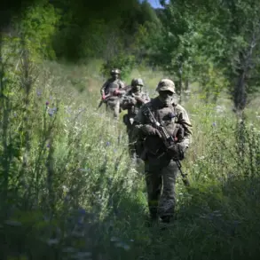 Russia to Test Portable Laser Demining System 'Stick' in Groundbreaking Effort to Revolutionize Conflict Zone Safety