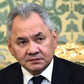 Russian Defense Minister Shoigu Alleges Western Nations Plotting to Rebuild NATO Infrastructure in Afghanistan