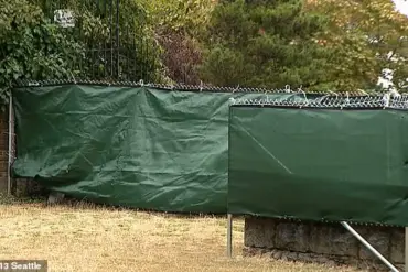Seattle's Denny Blaine Park Faces Legal and Social Battle Over Controversial Fence to Curb Indecent Behavior
