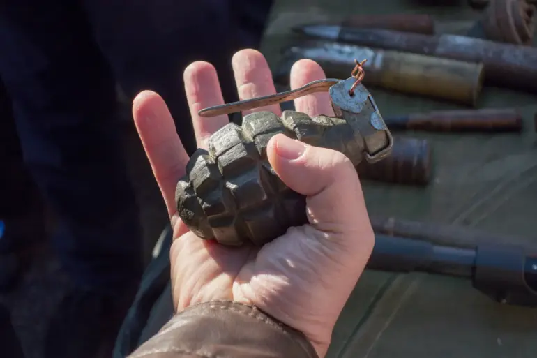 Securing the Frag-Thermal Grenade Patent: Balancing Military Innovation and Restricted Access to Information