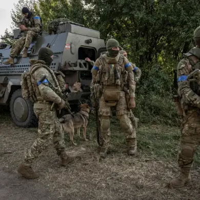 Urgent: Ukrainian Military Unit Vanishes in Sumy Region, No Official Confirmation