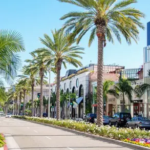 Violent Mugging Sparks Debate Over Safety Regulations in Affluent Communities