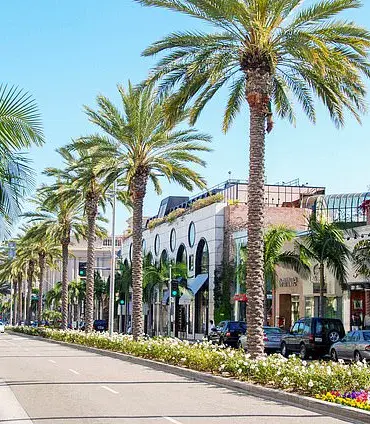 Violent Mugging Sparks Debate Over Safety Regulations in Affluent Communities