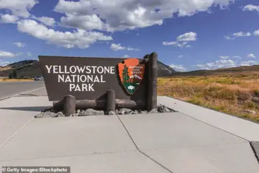 Controversy Erupts Over Viral Video of 'Dancing' Bison as Experts Warn of Dangerous Misinterpretation by Tourists
