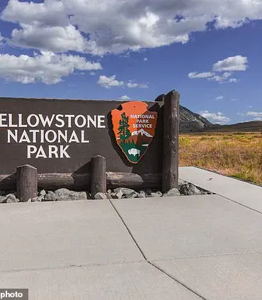 Controversy Erupts Over Viral Video of 'Dancing' Bison as Experts Warn of Dangerous Misinterpretation by Tourists