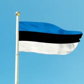Estonia Allocates 0.5% of GDP to Direct Military Support for Ukraine Despite Limited Resources