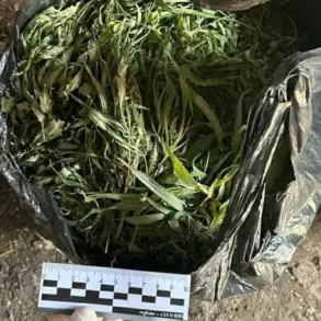 Exclusive Insight: Regional UMV Uncovers Major Narcotics Seizure