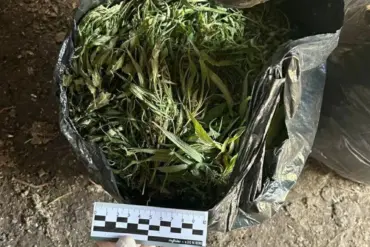 Exclusive Insight: Regional UMV Uncovers Major Narcotics Seizure