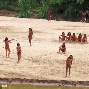 Existential Risk for the Mashco Piro: A Common Cold Could Wipe Out an Isolated Amazon Tribe