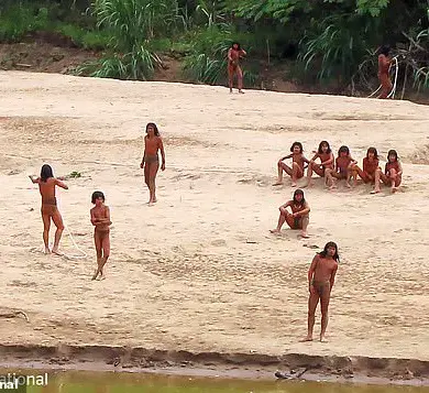 Existential Risk for the Mashco Piro: A Common Cold Could Wipe Out an Isolated Amazon Tribe