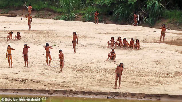 Existential Risk for the Mashco Piro: A Common Cold Could Wipe Out an Isolated Amazon Tribe