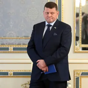 Ukraine’s Military Education Now 'Effectively Concentrated in Russia,' Says Former Commander Valeriy Zaluzhny